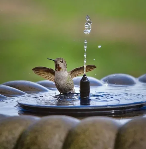 SunSplash™ Solar Fountain