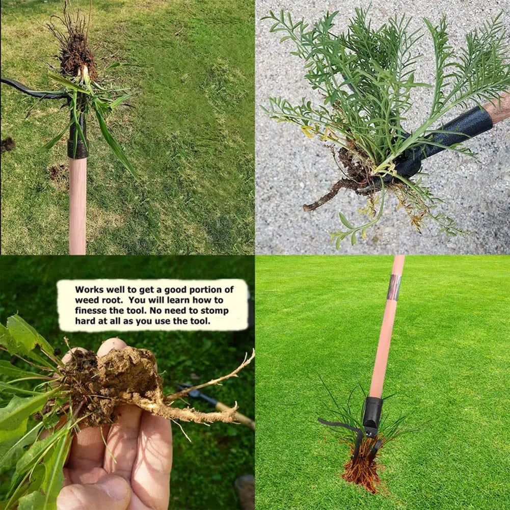 RootRipper™ Weeder